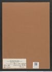 Synedra acus var. delicatissima (W. Sm.) Grun. (de-Toni-Nr.: Genus 66, Species 2590) Zeichnungen Sammlung Grunow Mappe 02806 (Herbarium_W_Grunow_drawings_Folder_02806)